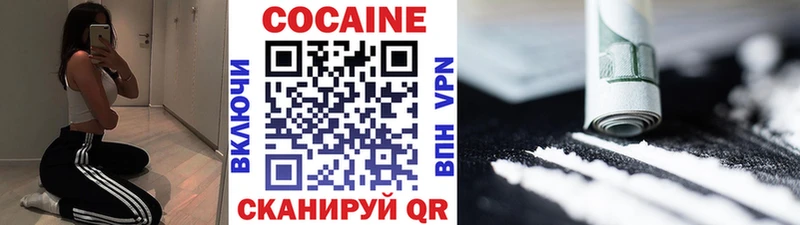 Купить закладки  Цивильск  COCAIN FishScale 