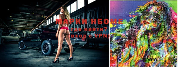 спиды Магас