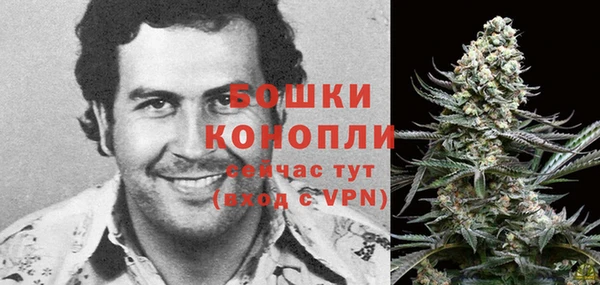 спиды Магас