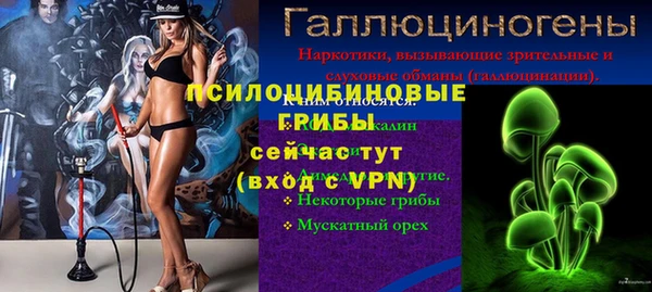 спиды Магас