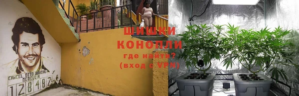 спиды Магас