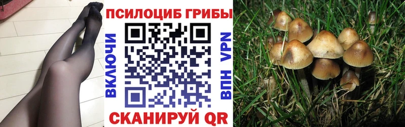 Галлюциногенные грибы мухоморы Цивильск