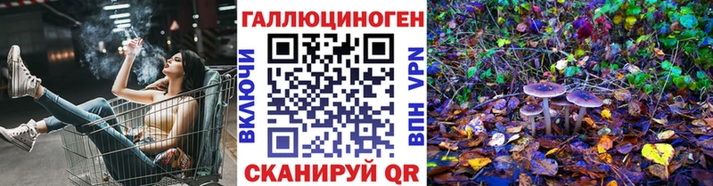 Купить закладки  Цивильск  Псилоцибиновые грибы MAGIC MUSHROOMS 