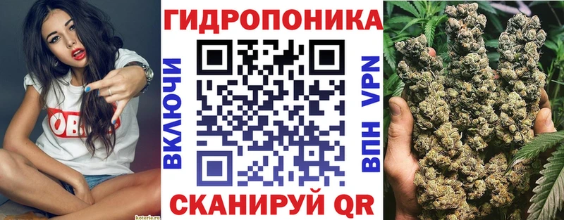 Бошки Шишки OG Kush Цивильск